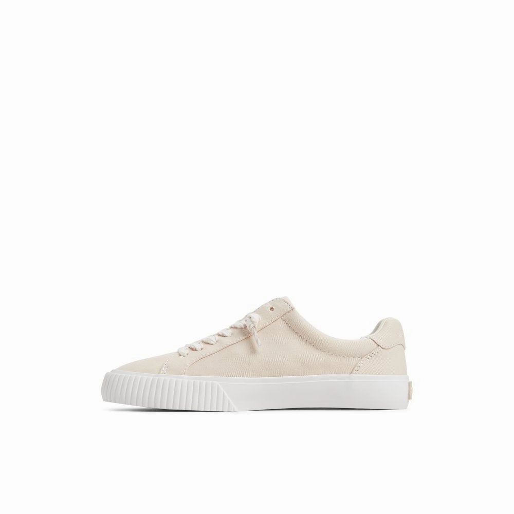 Bermuda LTT Sneakers