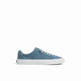 Bermuda LTT Sneakers