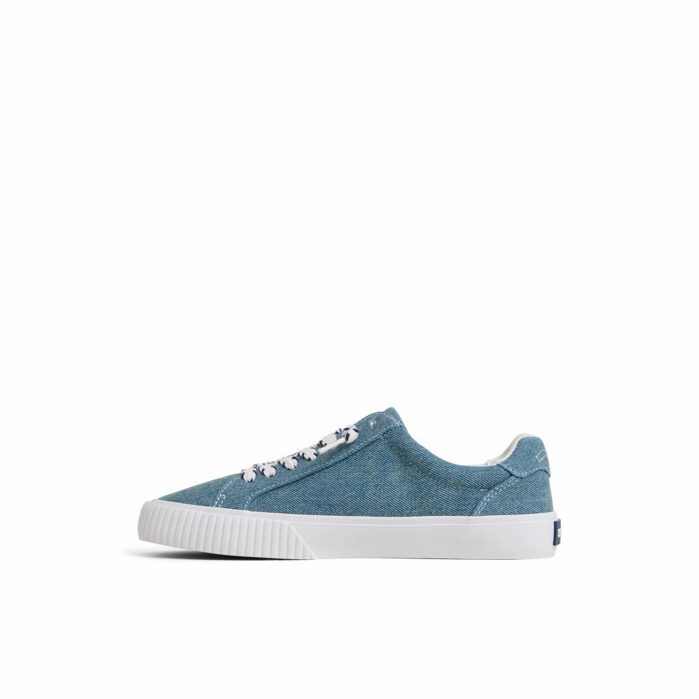 Bermuda LTT Sneakers