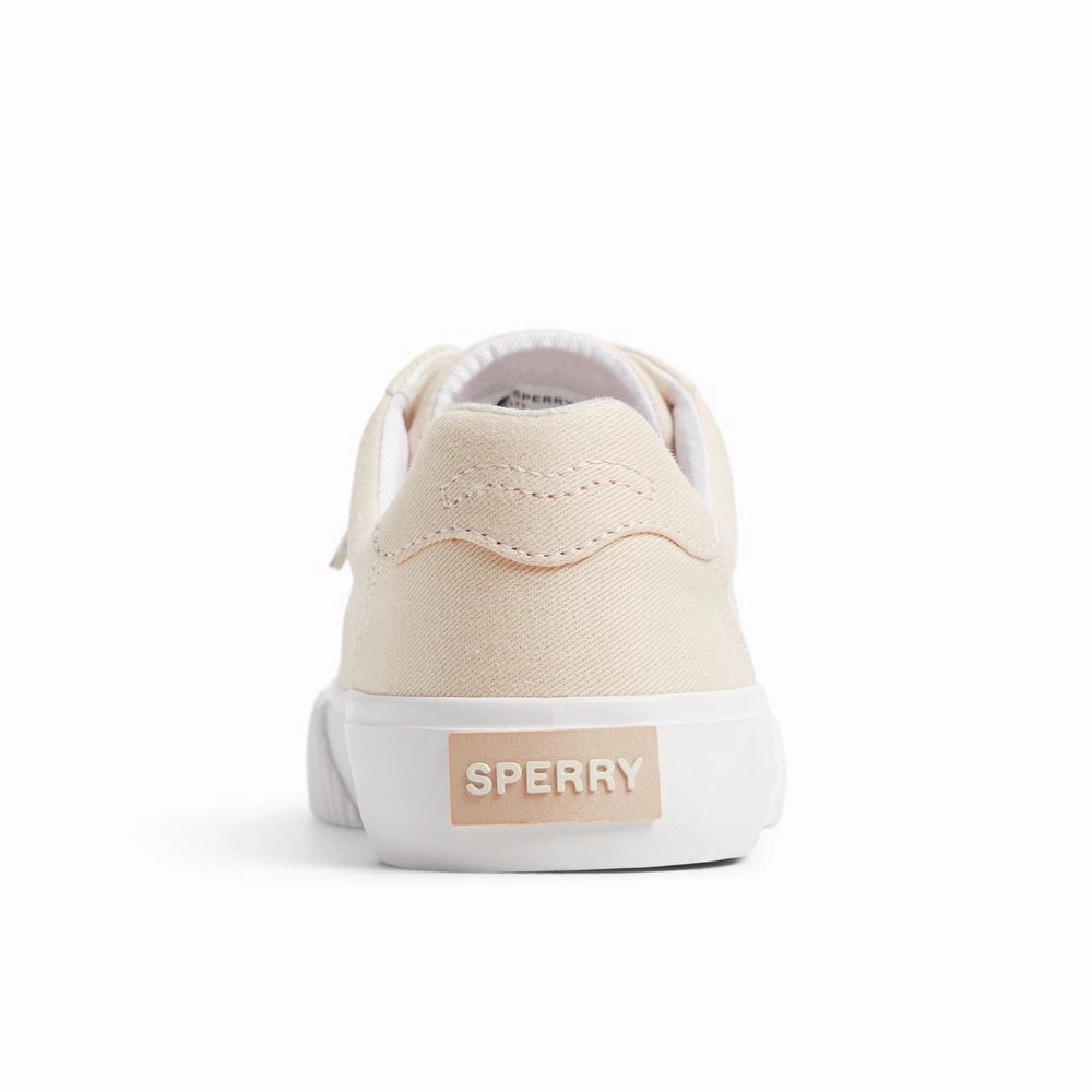 Bermuda LTT Sneakers