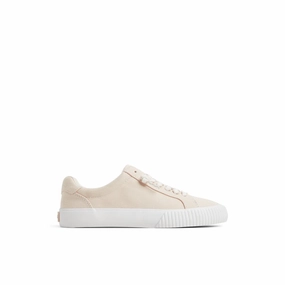 Bermuda LTT Sneakers