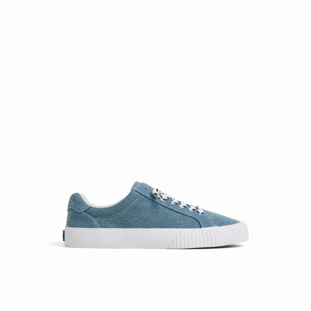 Bermuda LTT Sneakers