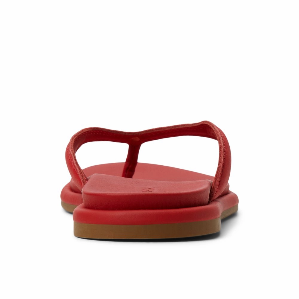 Isla Sandal