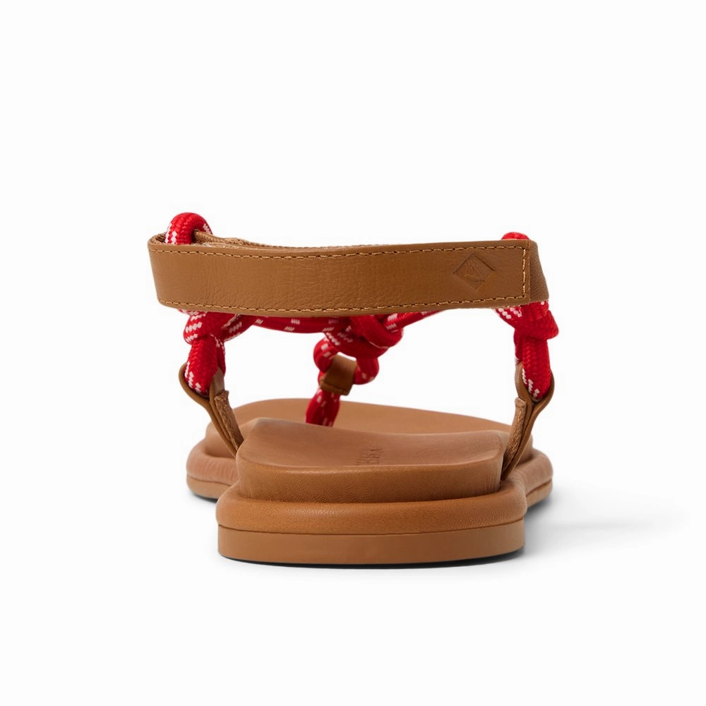 Isla T-bar Sandals